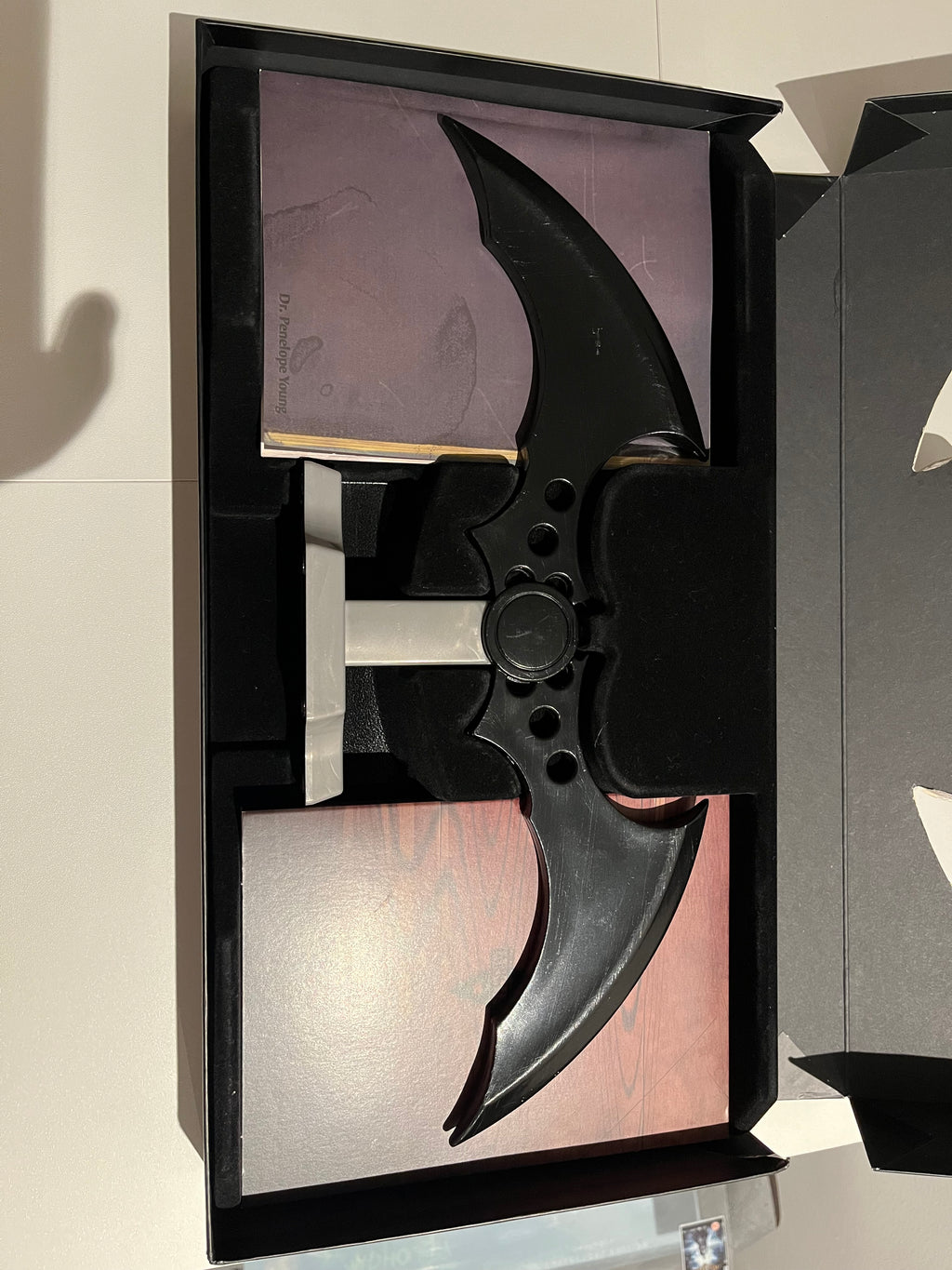 Batman Arkham Asylum Collector Edition